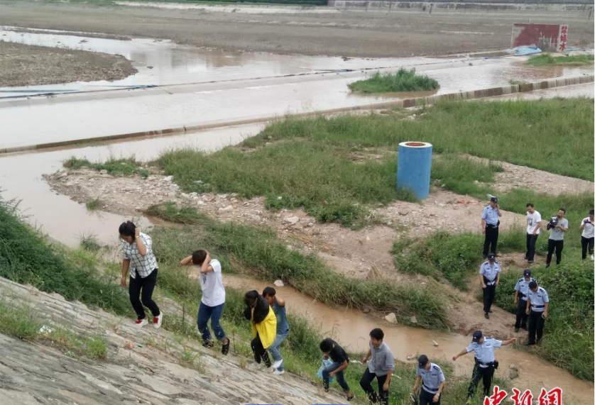 陕西省宝鸡市的传销活动主要呈现以下特点及危害
